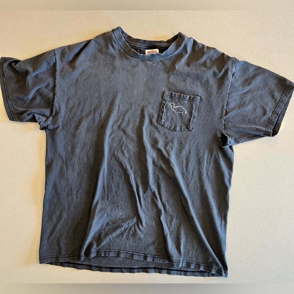 Vintage Thrashed Y2K Hanes XL Camel Graphic Tee – Desert Sun Logo Pocket Shirt - Picture 5 of 12